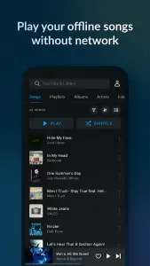 Lark Player - MP3 Music Player screenshot 2