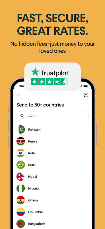 Taptap Send screenshot