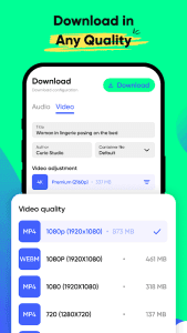 AnyLink XGet Video Downloader screenshot 2