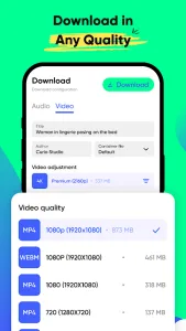 AnyLink XGet Video Downloader screenshot 2