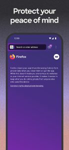 Firefox screenshot 8