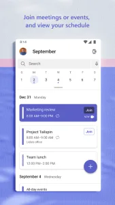 Microsoft Teams screenshot 13