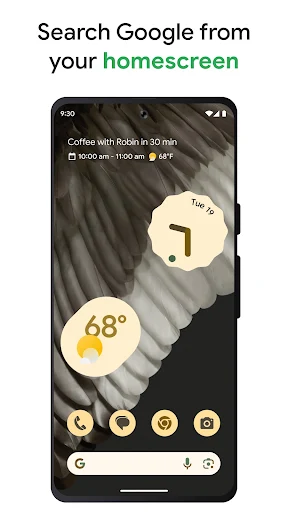 Google screenshot