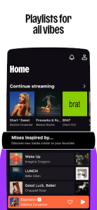 Deezer screenshot 1