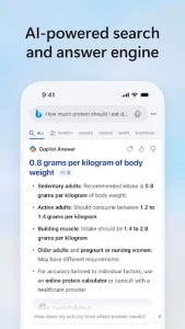 Microsoft Bing Search screenshot 1
