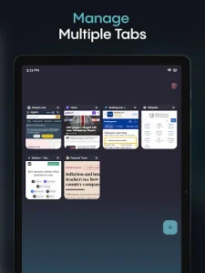Aloha Browser screenshot 12