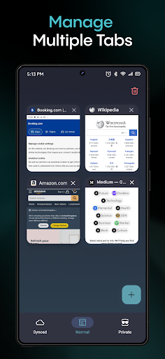 Aloha Browser screenshot