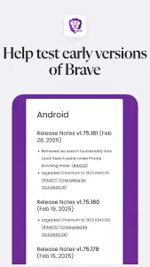 Brave Nightly screenshot 1