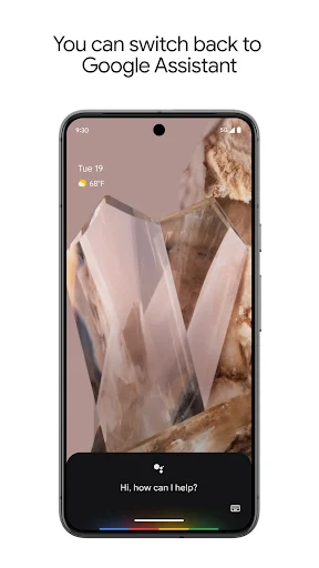 Google Assistant screenshot