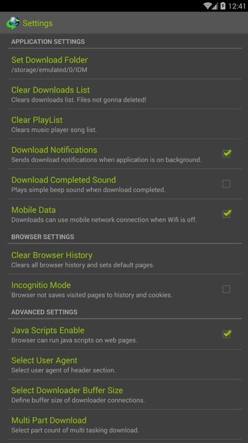 IDM screenshot