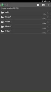 IDM screenshot 4