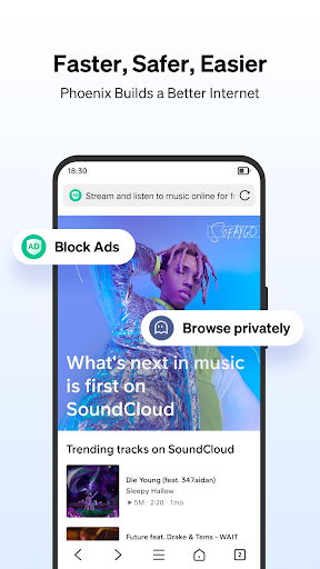 Phoenix Browser screenshot
