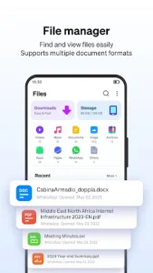 Phoenix Browser screenshot 6