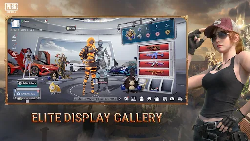 PUBG Mobile VN screenshot 11