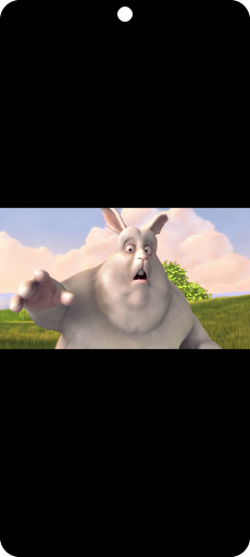 R Player screenshot 7