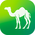 Camel Live