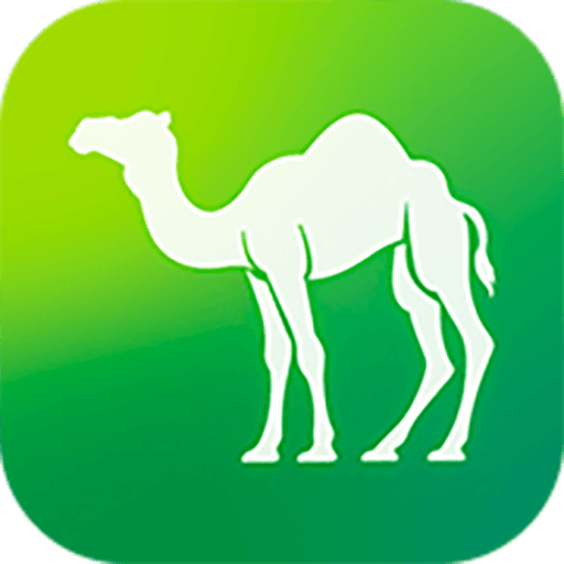 Camel Live