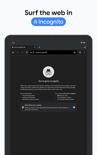 Chrome Beta screenshot 22
