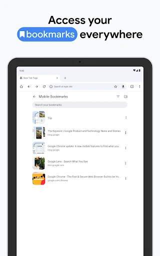 Chrome Beta screenshot 24