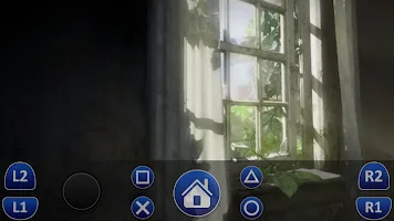 PS4 Simulator screenshot 4