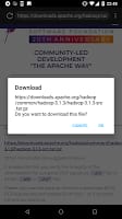 Download Manager screenshot 3