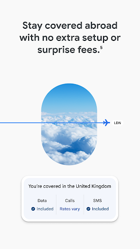 Google Fi Wireless screenshot