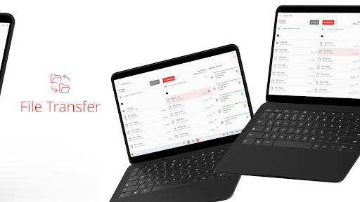 AnyDesk screenshot 10