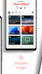 AnyDesk screenshot 2