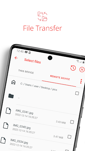 AnyDesk screenshot
