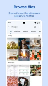 Files by Google screenshot 2