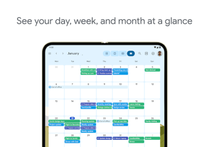 Google Calendar screenshot 13