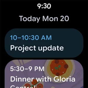 Google Calendar screenshot 19