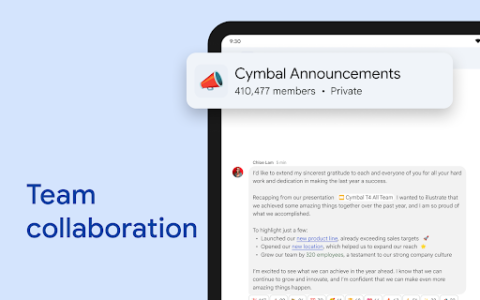 Google Chat screenshot 11