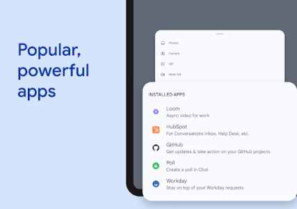 Google Chat screenshot 23
