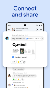 Google Chat screenshot 6