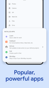 Google Chat screenshot 7