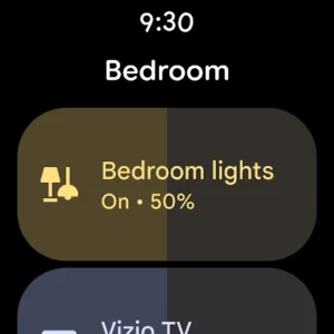 Google Home screenshot 11