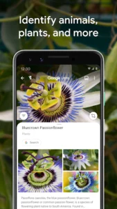 Google Lens screenshot 4