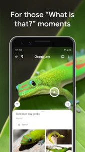 Google Lens screenshot 8