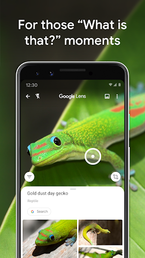 Google Lens screenshot
