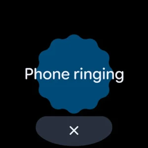 Google’s Find Hub screenshot 11