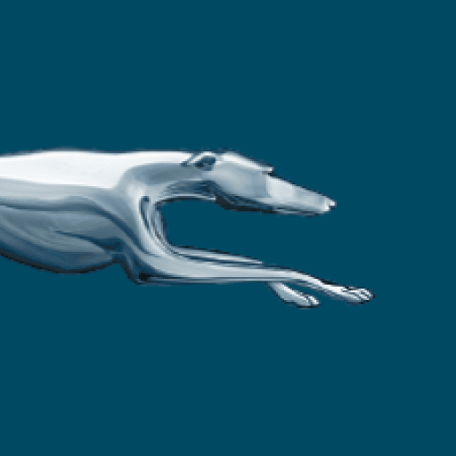 Greyhound