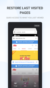 Internet Browser screenshot 2