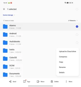 My Files screenshot 12