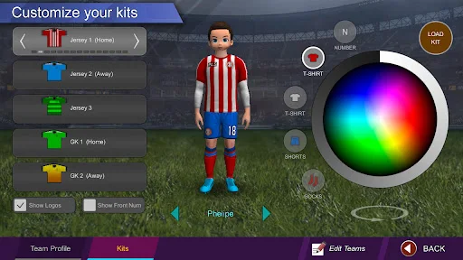 Pro League Soccer screenshot 3