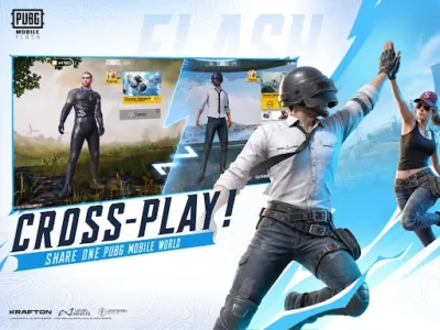 PUBG MOBILE FLASH screenshot 17