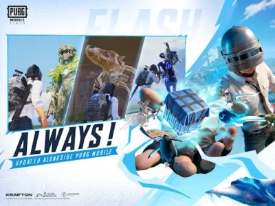 PUBG MOBILE FLASH screenshot 21