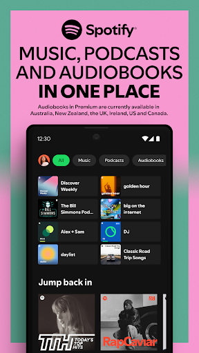 Spotify for Android TV screenshot
