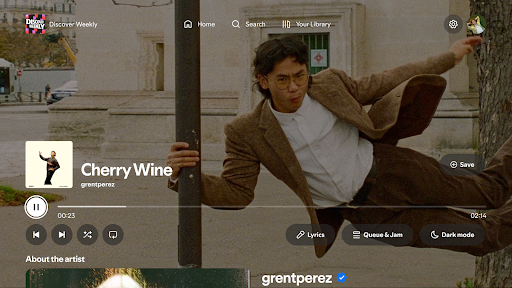 Spotify for Android TV screenshot 11