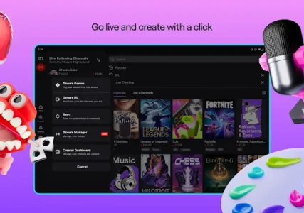 Twitch screenshot 16